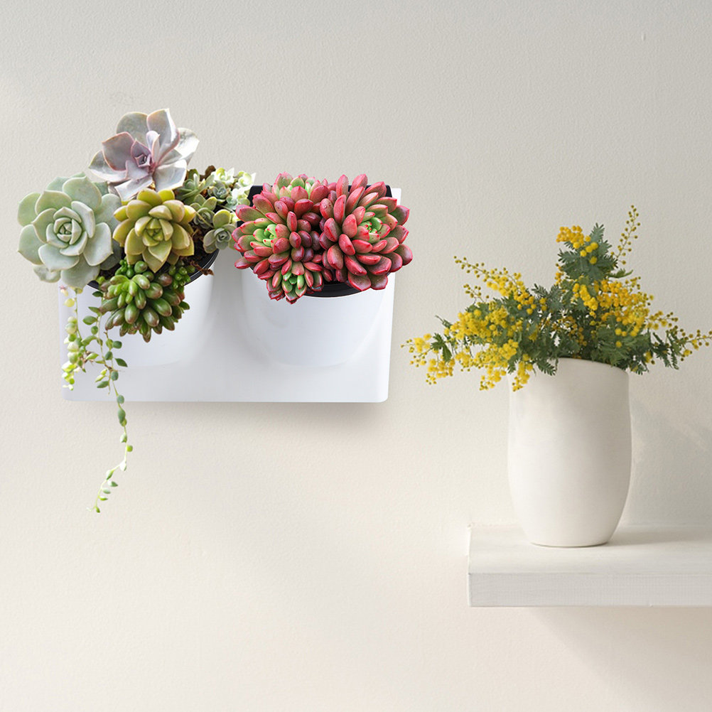自動給水植木鉢 プラスチック製 バイオレット プランター 装 - Self-Watering Planter のレビューと価格