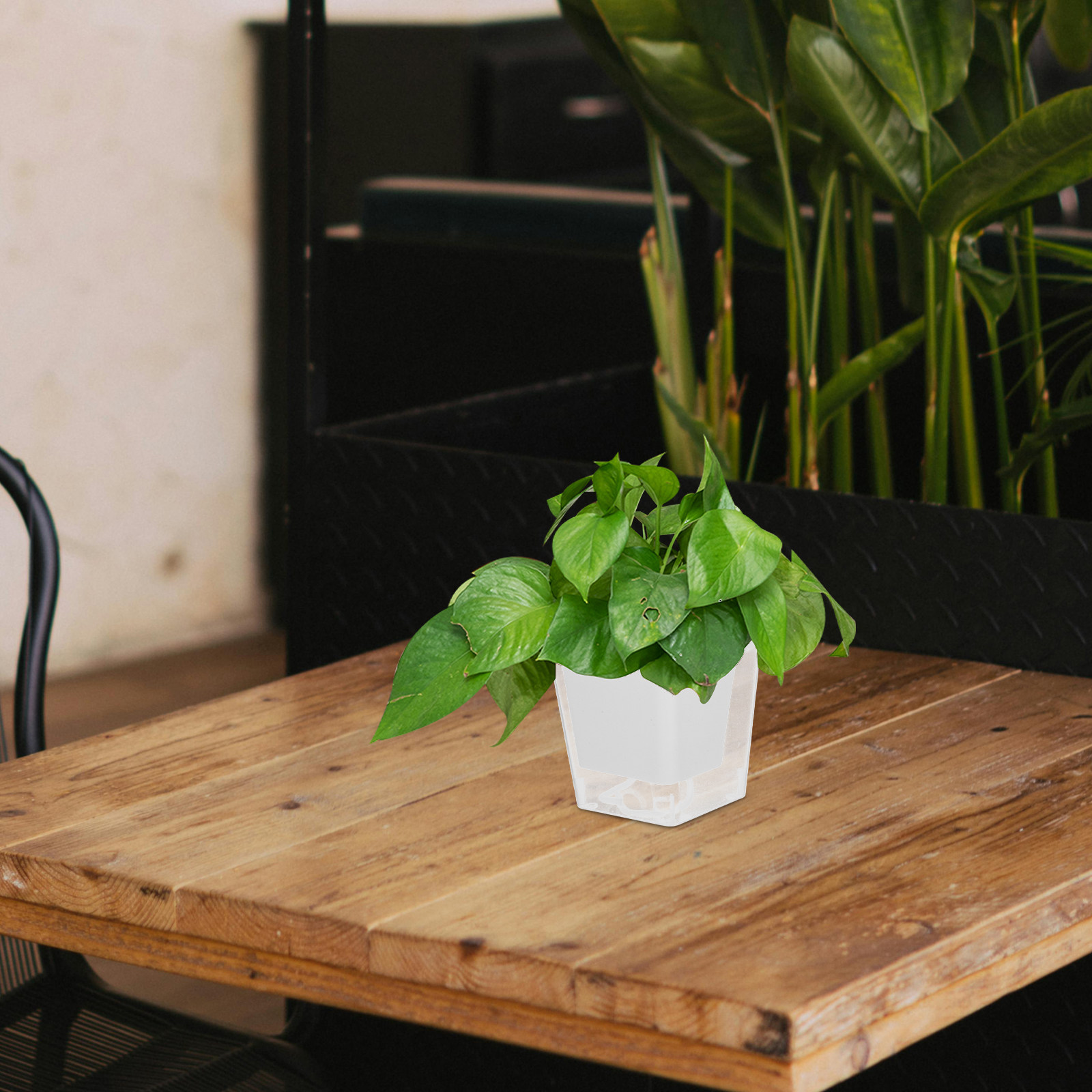 コンパクトなバルコニー用植木鉢、自動給水式室内プランター、狭 - Self-Watering Planter のレビューと価格