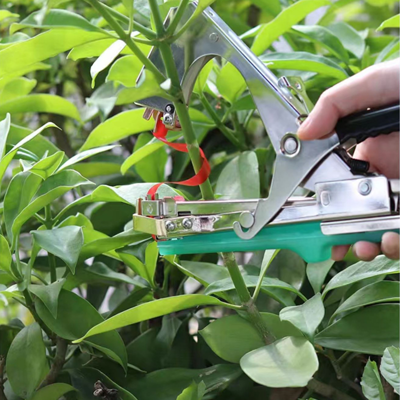 園芸植物の枝結束機、野菜用テープ、家庭菜園の苗や蔓の結束ツー - Gardening Tools Gift Set のレビューと価格