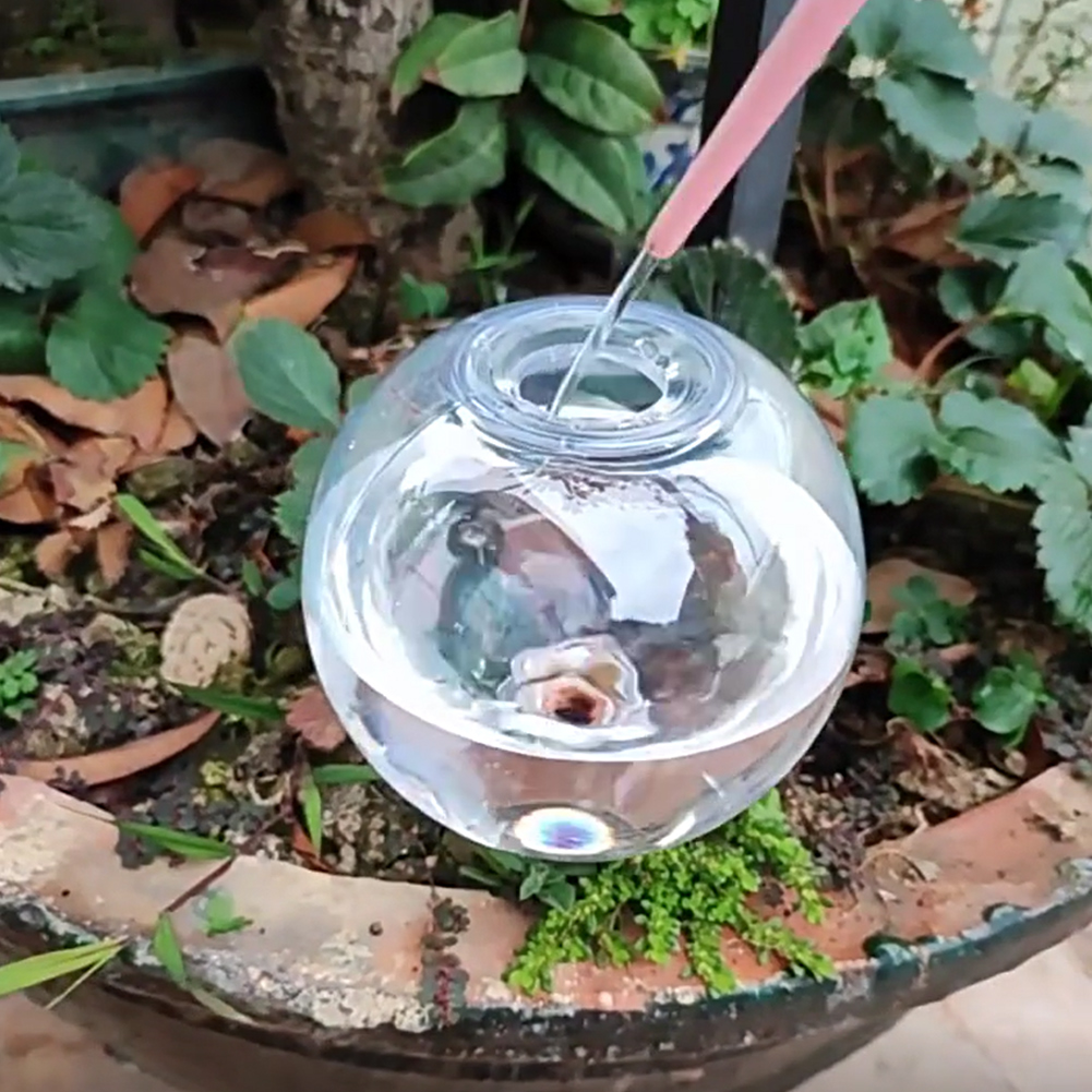 500ML自動給水グローブ点滴灌漑システム、自動給水プランタ - Self-Watering Planter のレビューと価格