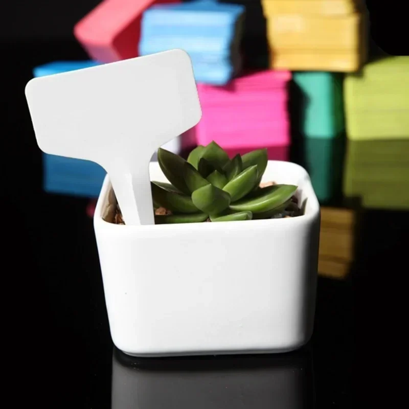20 個プラスチック防水植物名札ストリップライン園芸ラベル標 - Gardening Tools Names のレビューと価格